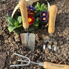 image:imageSpear amp Jackson 3056KEW Kew Gardens Neverbend Stainless 3 Piece Hand Tool Gift Set  Planting Trowel Transplant Trowel amp Weed Fork  MirrorPolished Stainless Steel HeadsKew Cultivating Set