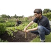 image:imageSpear amp Jackson 3100KEW Kew Gardens Collection Stainless Steel 3 Prong Cultivator 12 HandleDibber