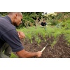 image:imageSpear amp Jackson 3100KEW Kew Gardens Collection Stainless Steel 3 Prong Cultivator 12 HandleOnion Hoe