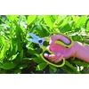 image:imageSpear amp Jackson 4252KEW SoftFeel Garden Scissors  GreenGreen