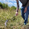 image:imageSpear amp Jackson 4752SS Scythette BlackHand Held Hook