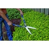 image:imageSpear amp Jackson 4862RSA Razorsharp Active SoftGrip Hand ShearsSoft Grip Handle