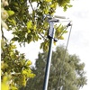 image:imageSpear amp Jackson 4930FZ Razorsharp Telescopic Tree Pruner Extendable Pole Handle for Removing High Branches Sharp Saw Blade for Cutting Thick Limbs and Powerful Pull Cord Lopper for Light TrimmingFibreglass Tree Pruner