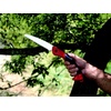 image:imageSpear amp Jackson 4930FZ Razorsharp Telescopic Tree Pruner Extendable Pole Handle for Removing High Branches Sharp Saw Blade for Cutting Thick Limbs and Powerful Pull Cord Lopper for Light TrimmingFolding Pruning Saw