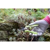 image:imageSpear amp Jackson 56418P Pink Garden SnipsGreen