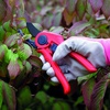 image:imageSpear amp Jackson 5960RSA Razorsharp Active Pruning Shears Large Bypass MulticolouredMedium Bypass