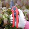 image:imageSpear amp Jackson 5960RSA Razorsharp Active Pruning Shears Large Bypass MulticolouredMedium Bypass