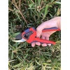 image:imageSpear amp Jackson 6058AS Razorsharp Advantage Medium Anvil Pruning ShearsSmall Bypass