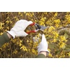 image:imageSpear amp Jackson 6657BS Razorsharp Professional Short Blade Bypass PrunerLeft Handed Bypass