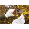 image:imageSpear amp Jackson 6657BS Razorsharp Professional Short Blade Bypass PrunerLeft Handed Bypass