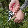 image:imageSpear amp Jackson 7459BS Razorsharp Geared Bypass Pruners RedPremium Bypass