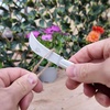 image:imageSpear amp Jackson 7946KEW Kew Gardens Collection Folding Garden KnifeSingle