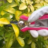 image:imageSpear amp Jackson Bypass Pruner and Mini Snips Gift Set Premium Gardening Tools with Carbon Steel Blades for Precision Cutting and Trimming899 cm W x 1849 cm L