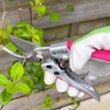 image:imageSpear amp Jackson Bypass Pruner and Mini Snips Gift Set Premium Gardening Tools with Carbon Steel Blades for Precision Cutting and Trimming899 cm W x 1849 cm L
