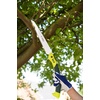 image:imageSpear amp Jackson Kew Gardens Razorsharp Large Folding Pruning Sawyouth large  1113