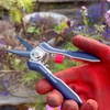 image:imageSpear amp Jackson Razorsharp Mini Pruner Set for Small Garden Tasks and Bonsai Care 2 Piece Precision Compact Lightweight Ergonomic Pruning ShearsMini Pruner Set
