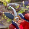 image:imageSpear amp Jackson Razorsharp Mini Pruner Set for Small Garden Tasks and Bonsai Care 2 Piece Precision Compact Lightweight Ergonomic Pruning ShearsMini Pruner Set