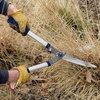 image:imageSpear amp Jackson Razorsharp Notched Hedge Shears Professional Garden Tool for Precision Trimming and Shaping Quality Carbon Steel BladesHedge Shears