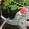 image:imageSpear amp Jackson Razorsharp Ratchet Anvil Pruners with Twist Handle Ergonomic HighCarbon Steel Blades for Effortless PruningGeared Anvil