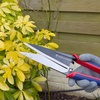 image:imageSpear amp Jackson Razorsharp Topiary Shears  Precision Garden Shears for Pruning Shaping and Trimming PlantsClassic