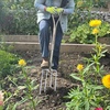 image:imageSpear amp Jackson Traditional Stainless Steel Digging Fork Heavy Duty Durable Stainless Steel Garden Tool Ideal for Digging Aerating and Turning SoilDigging Fork