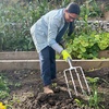 image:imageSpear amp Jackson Traditional Stainless Steel Digging Fork Heavy Duty Durable Stainless Steel Garden Tool Ideal for Digging Aerating and Turning SoilDigging Fork