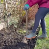 image:imageSpear amp Jackson Traditional Stainless Steel Planting Spade Heavy Duty Garden Tool Durable Blade and Comfortable Wooden Handle for Digging Planting and Soil PreparationPlanting Spade