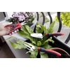 image:imageSpear amp Jackson IPC3PS 3 Piece Indoor Plant Care Tool SetIndoor Plant Care Kit